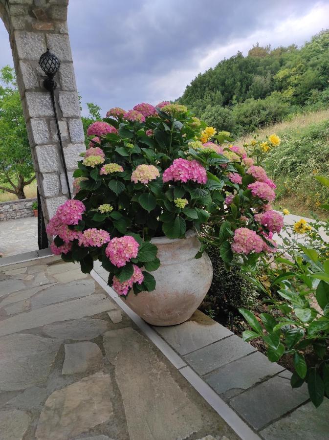 Ouranogiton Resort Kosmás Екстериор снимка